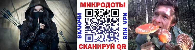 Галлюциногенные грибы Psilocybine cubensis  Электросталь 