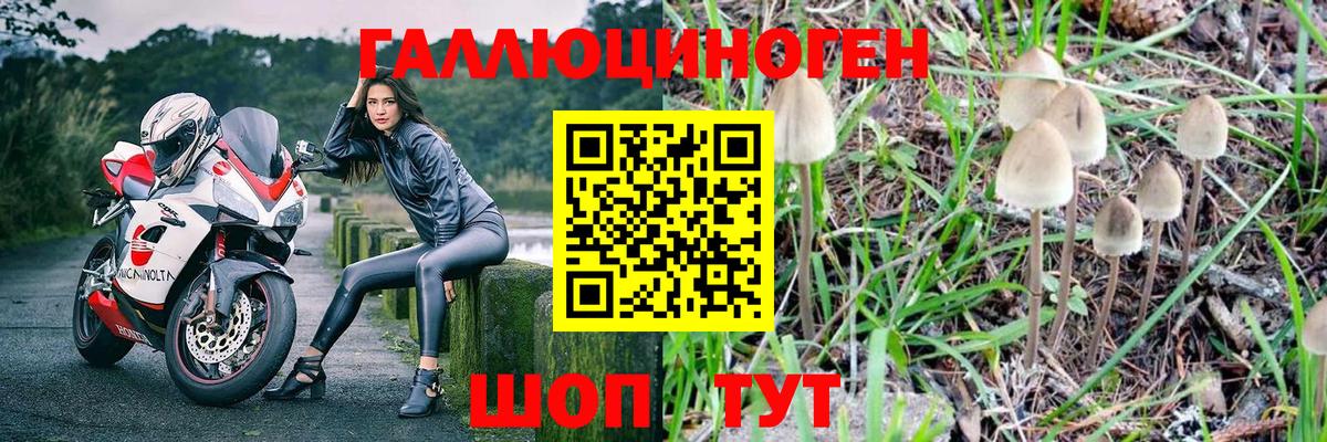 Галлюциногенные грибы прущие грибы  Вход с VPN  Галлюциногенные грибы Magic Shrooms  Электросталь 