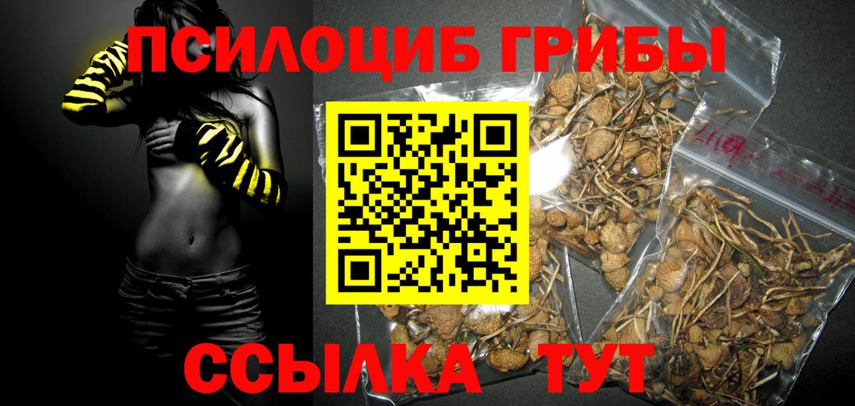 Галлюциногенные грибы мухоморы Электросталь
